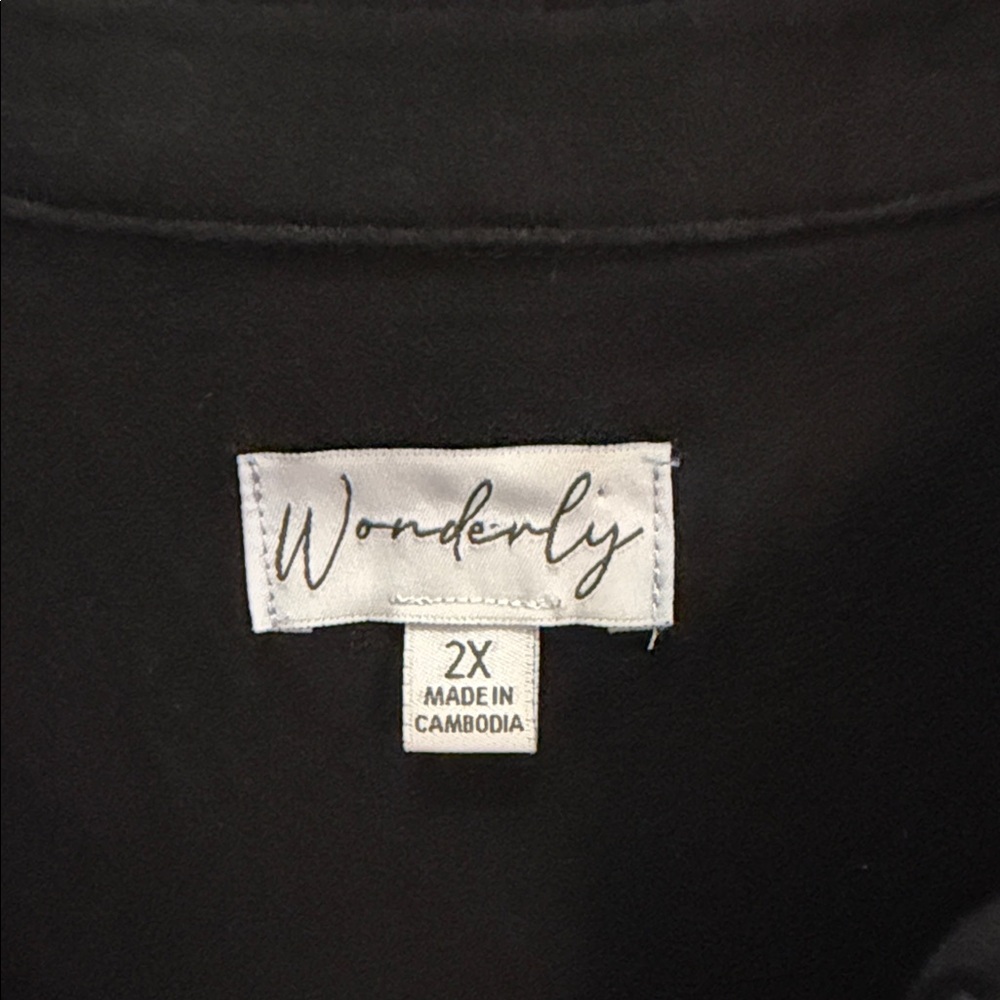 Wonderly Black V-Neck Button-Front Pleated Tunic Top size 2X - Picture 2 of 6